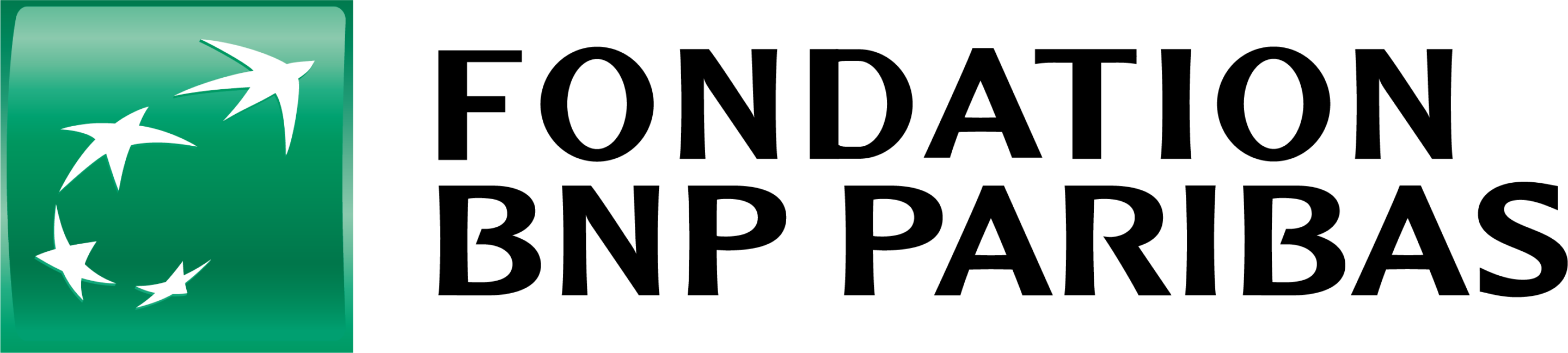 BNPparibas BNP parisien